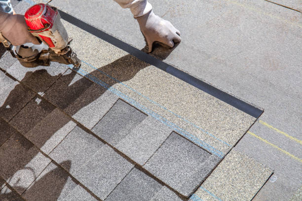 Best Roof Gutter Cleaning  in Bylas, AZ